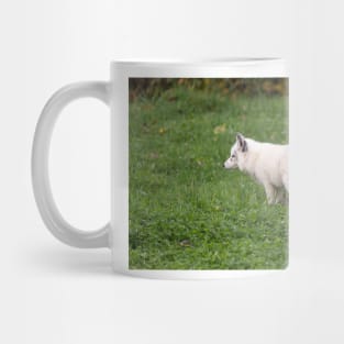 Arctic Fox Mug